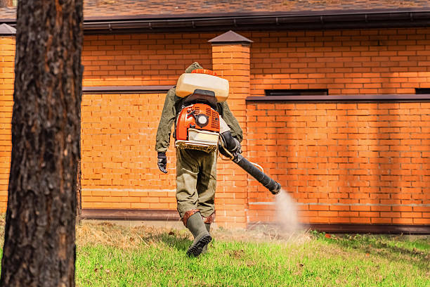 Trusted Mosquito Control service in Vienna Bend, LA - Nex Pest Control